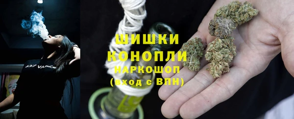 прущие грибы Абинск