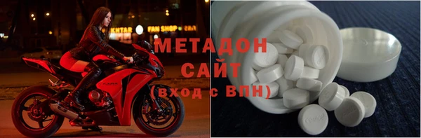 прущие грибы Абинск