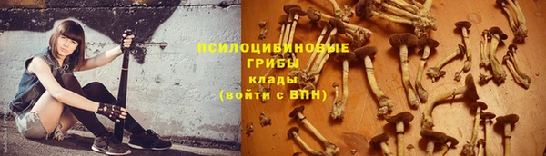 прущие грибы Алексин