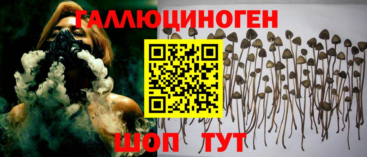 Галлюциногенные грибы ЛСД Новочеркасск