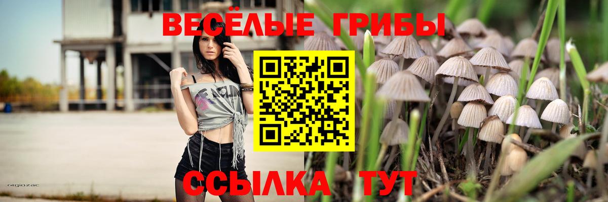 Новочеркасск  Псилоцибиновые грибы GOLDEN TEACHER  Галлюциногенные грибы Psilocybine cubensis  Вход с VPN 